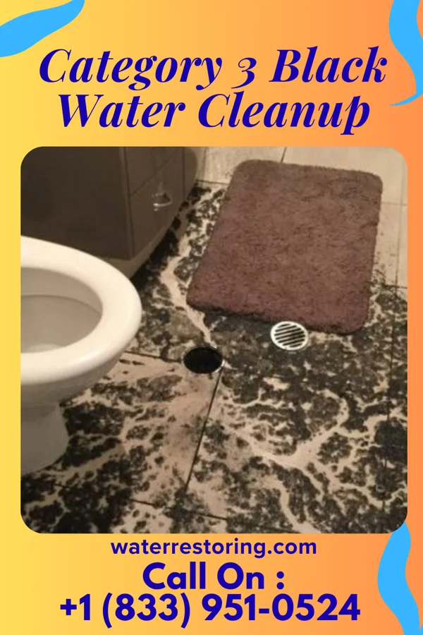 Category 3 Black Water Cleanup in Clendenin, WV