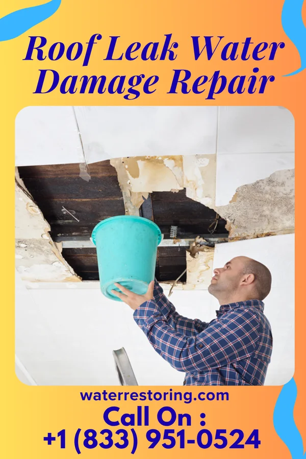 Roof Leak Water Damage Repair in Clendenin, WV