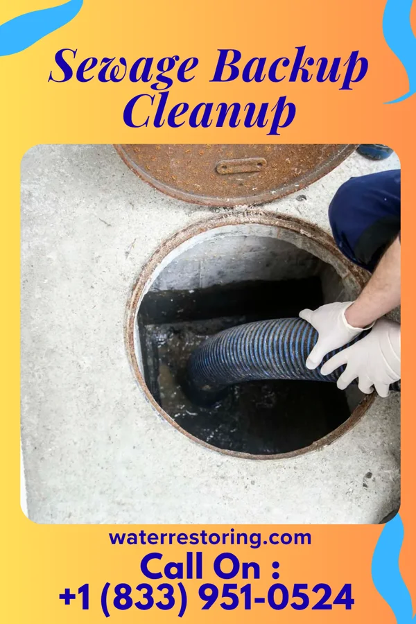 Sewage Backup Cleanup in Clendenin, WV