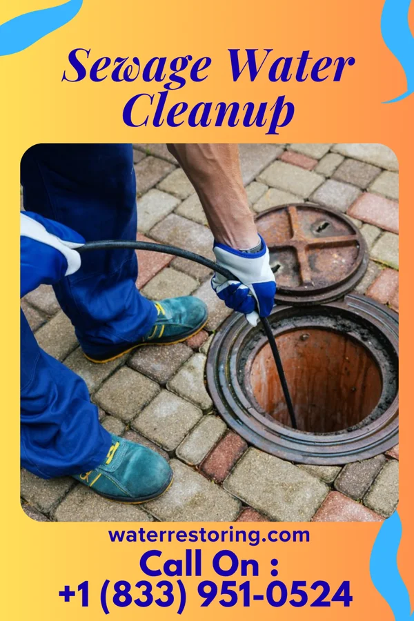 Sewage Water Cleanup in Clendenin, WV
